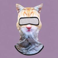 3D Cat Pattern Balaclava Face Mask, 1 Count Creative Mask for Music Festivals Raves Ski, Outdoor Activities Mask for Men & Wo...