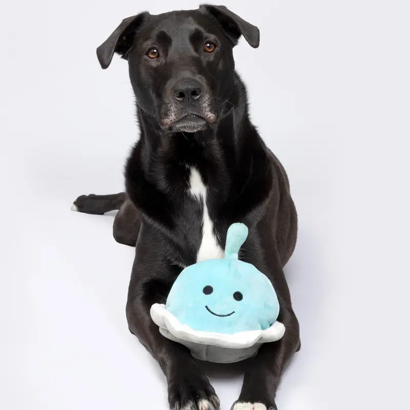 Patchwork Pet Spaceship with Alien 5