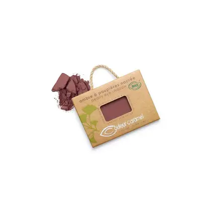 Couleur caramel eyeshadow N100 Fatale Recharge 1un