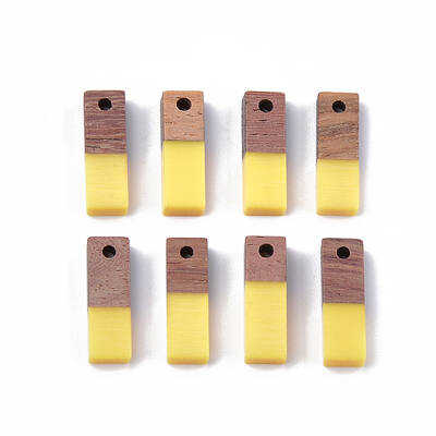Resin & Wood Pendants