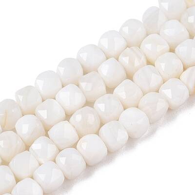 Natural White Shell Beads Strands