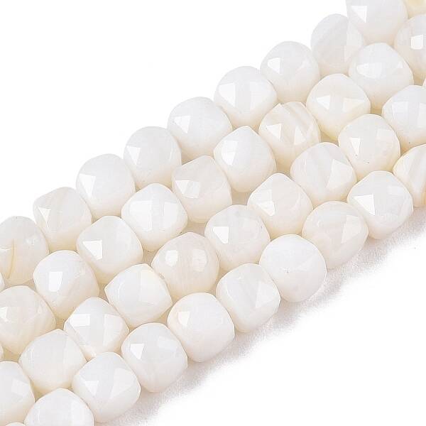 Natural White Shell Beads Strands