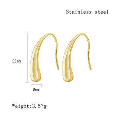 304 Stainless Steel Dangle Earrings