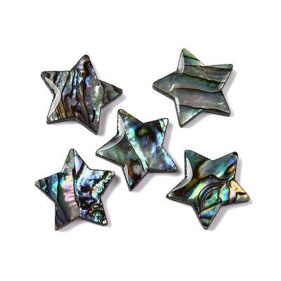 Natural Paua Shell Epoxy Resin Cabochons