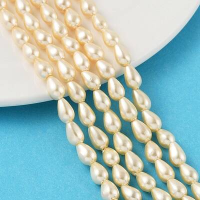 Polished Shell Pearl Beads Strands