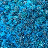 SOUR Blue Raspberry Gushers - BLUE RAZZ GUSHER Chewy Snack - Sweet, Fruity Candies - Moon Crunch TikTok Trend Item