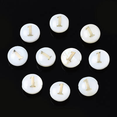 Natural Freshwater Shell Beads