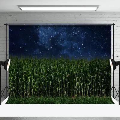 Aperturee Dark Starry Night Green Cornfield Summer Backdrop
