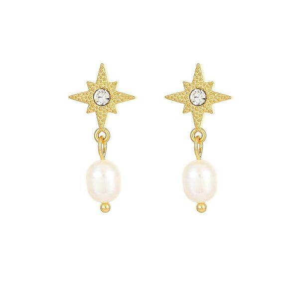 Stainless Steel Earrings with Pearl