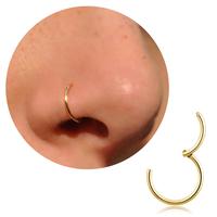 New 2025-20G 18G 16G Titanium Nose Ring Hoop, Cartilage Hoop Earrings for Women Men Silver Gold Nose Ring Septum Ring Tragus ...