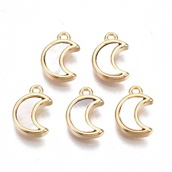 Natural Sea Shell Charms