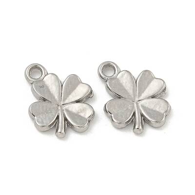 Non-Tarnish 304 Stainless Steel Charms