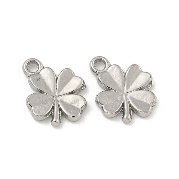 Non-Tarnish 304 Stainless Steel Charms
