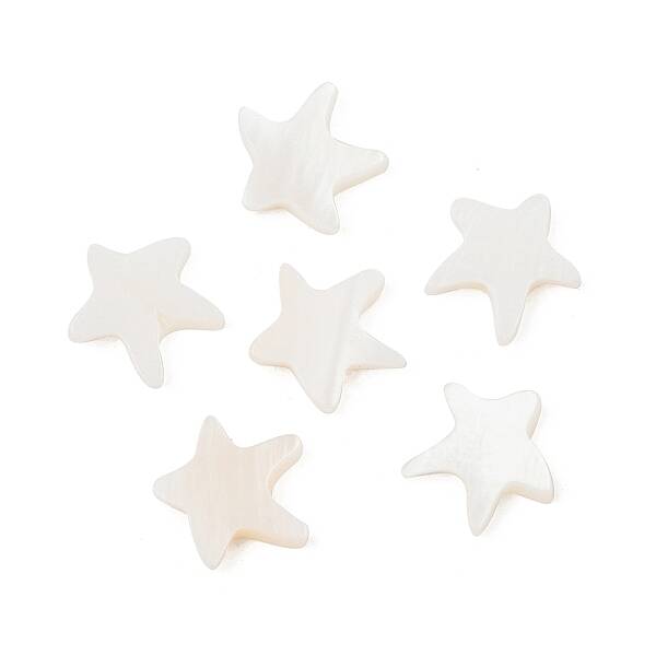 Natural Freshwater Shell Beads