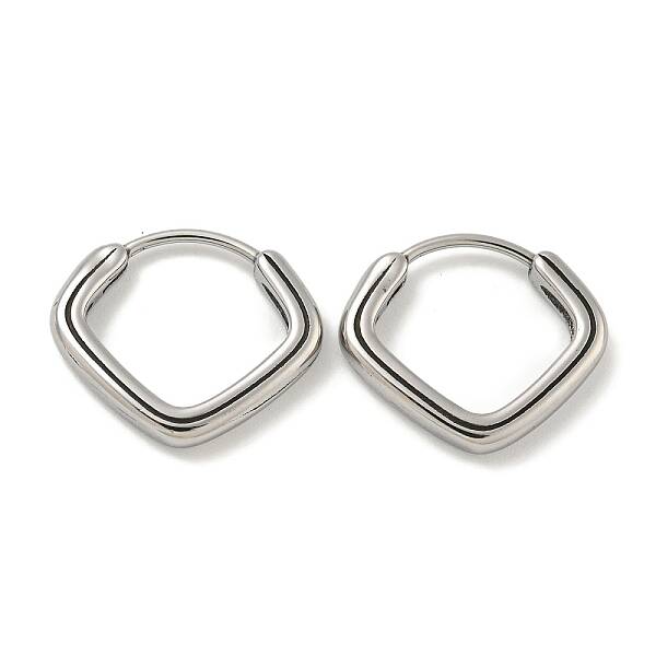 316 Surgical Stainless Steel Hoop Earrings