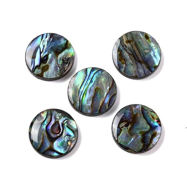 Natural Paua Shell Epoxy Resin Cabochons