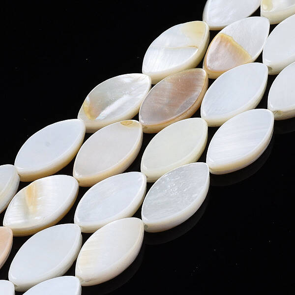 Natural Freshwater Shell Beads Strands