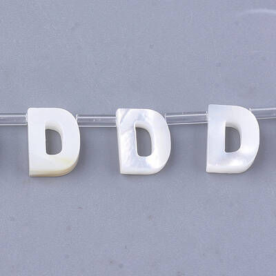 Sea Shell Beads