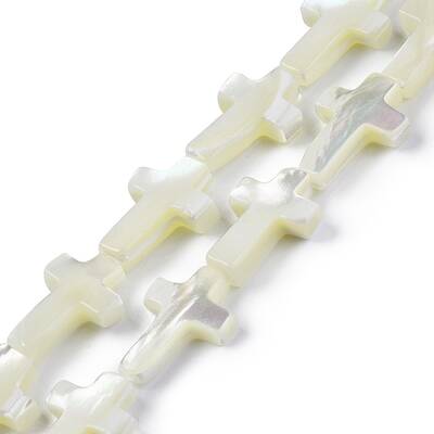 Natural Trochid Shell/Trochus Shell Beads Strands