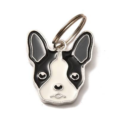 Aolly Pendants