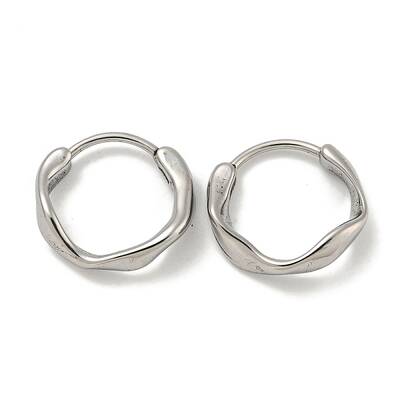 316 Surgical Stainless Steel Hoop Earrings
