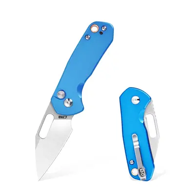 CJRB Mini Pyrite Pocket Knife,2.17 AR-RPM9 Steel Blade, Small EDC Knife,Utility Knife Keychain Knife for Everyday Carry, Su...