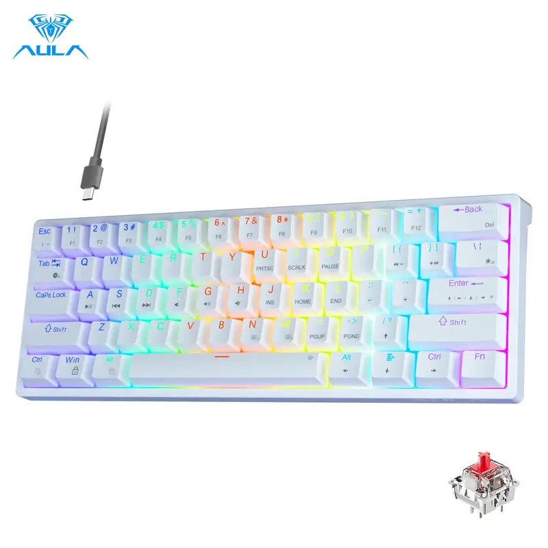 AULA F3261 60 percent wired mechanical gaming keyboard white keyboard 29 RGB backlight hot swappable plug red axis mini compa...