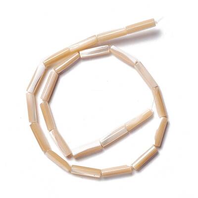 Natural Trochid Shell/Trochus Shell Beads