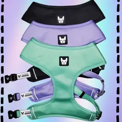 Nomadic Frenchie Harness - Please measure the neck before ordering size chart is in product photos