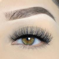 3D Lashes (Desire)