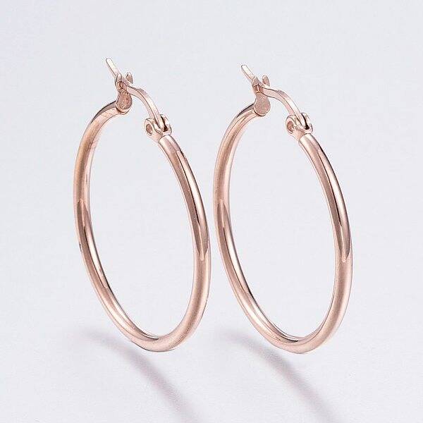304 Stainless Steel Hoop Earrings