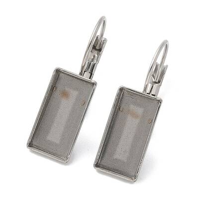 304 Stainless Steel Leverback Earring Finding