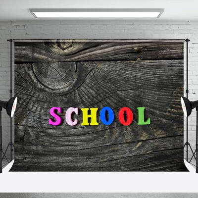 Old Wood Plank Texture Rainbow Back To School Backdrop - Aperturee