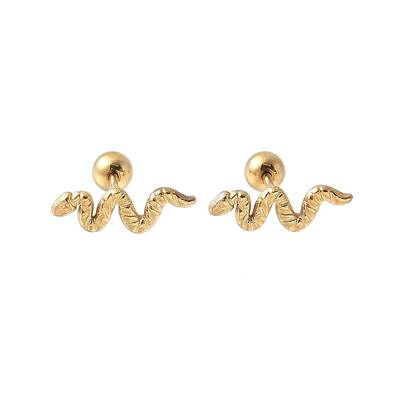 304 Stainless Steel Stud Earrings for Women