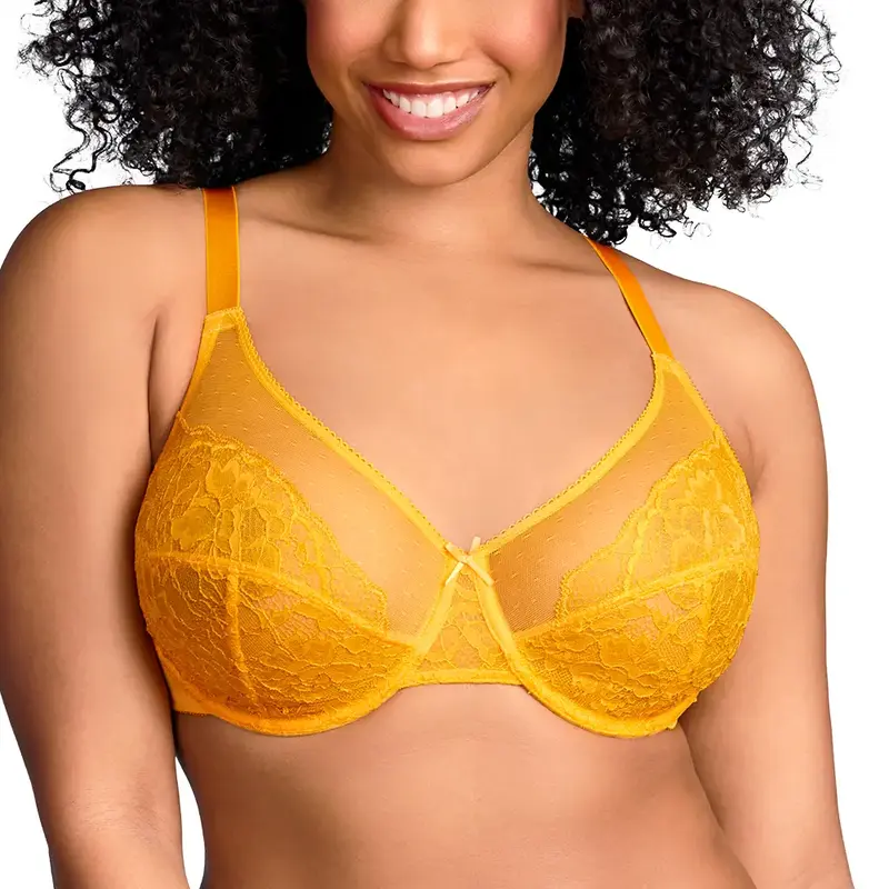 LIVE HSIA Enchante Floral Lace Underwire Non-padded Plus Size Unlined Unpadded Full Coverage Bra