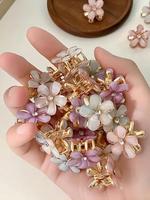 2024 New Style Flower Design Hair Clips Set, Elegant Hair Accessories for Women & Girls, Minimalist Headwear Suitable for Thi...