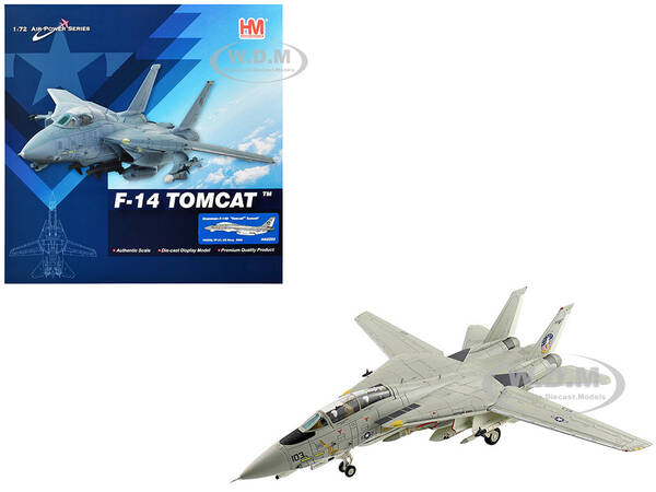 Grumman F-14D Tomcat Fighter Aircraft \