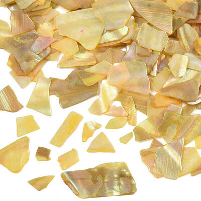 Natural Abalone/Paua Shell Mica Fragment