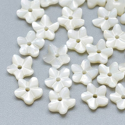 Natural White Shell Beads