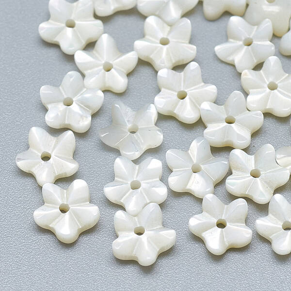 Natural White Shell Beads