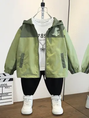 Boy's Cartoon Dinosaur Print Hooded Jacket, Cute Casual Long Sleeve Outerwear for Daily Wear, Kids Clothing for All Seasons