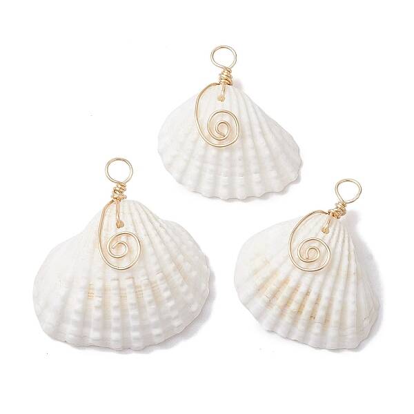 Natural Ark Shell Copper Wire Wrapped Pendants