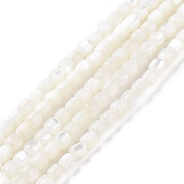 Natural Trochus Shell Beads Strands