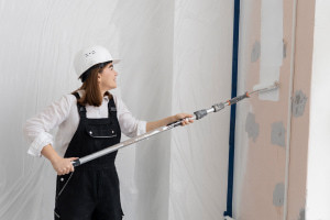 Basics of House Painting