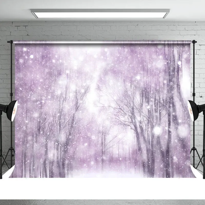 Winter Nature Landscape Christmas Snowflake Backdrop - Aperturee