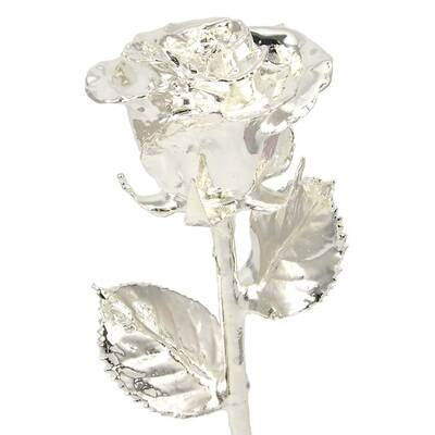 11 Silver Dipped Rose