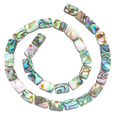 1 Strand Natural Abalone Shell/Paua Shell Beads Strands