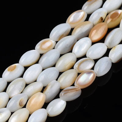 Natural Freshwater Shell Beads Strands