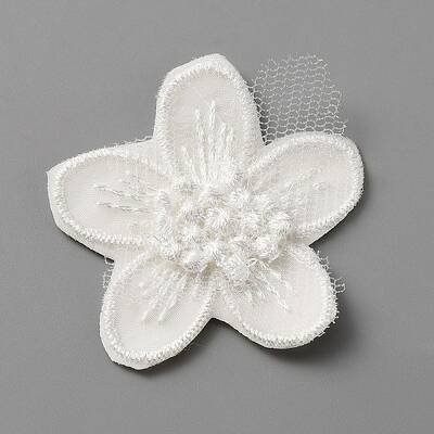 Computerized Embroidery Lace Self Adhesive/Sew on Patches