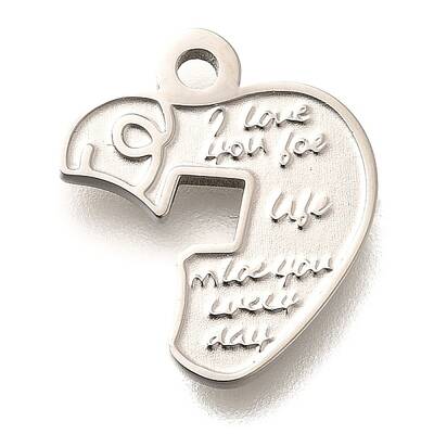 304 Stainless Steel Charms